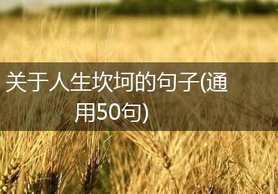 关于人生坎坷的句子(通用50句)