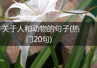 关于人和动物的句子(热门20句)