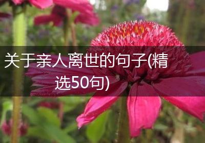 关于亲人离世的句子(精选50句)