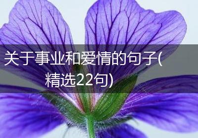 关于事业和爱情的句子(精选22句)