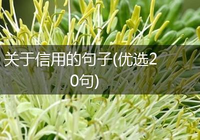 关于信用的句子(优选20句)