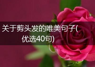 关于剪头发的唯美句子(优选40句)