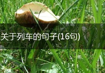 关于列车的句子(16句)