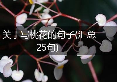 关于写桃花的句子(汇总25句)