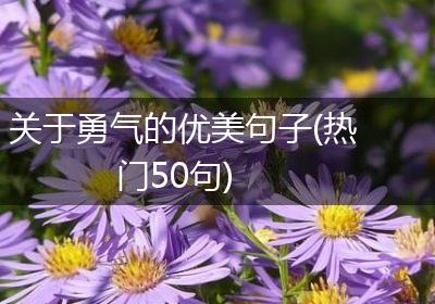 关于勇气的优美句子(热门50句)