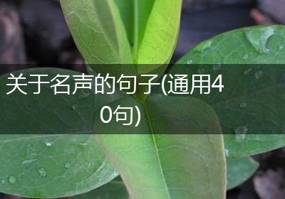 关于名声的句子(通用40句)