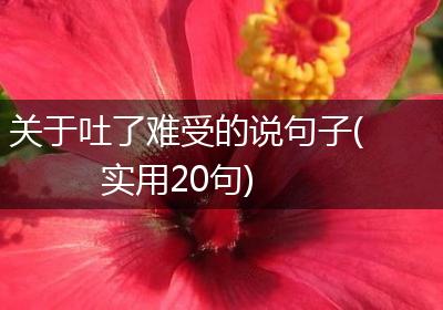 关于吐了难受的说句子(实用20句)
