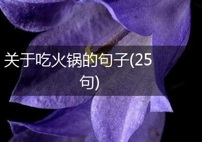 关于吃火锅的句子(25句)