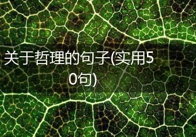 关于哲理的句子(实用50句)
