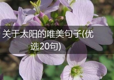 关于太阳的唯美句子(优选20句)
