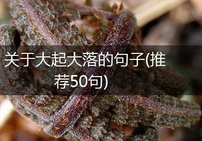 关于大起大落的句子(推荐50句)