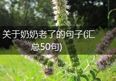 关于奶奶老了的句子(汇总50句)