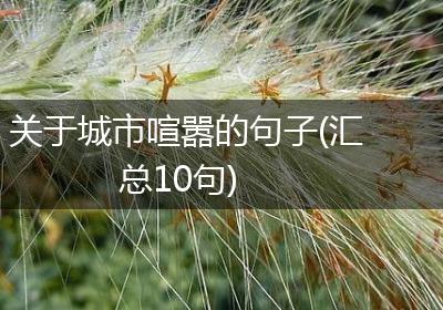 关于城市喧嚣的句子(汇总10句)
