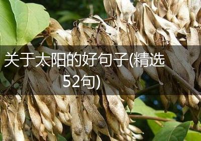关于太阳的好句子(精选52句)