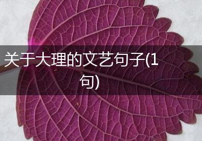 关于大理的文艺句子(1句)