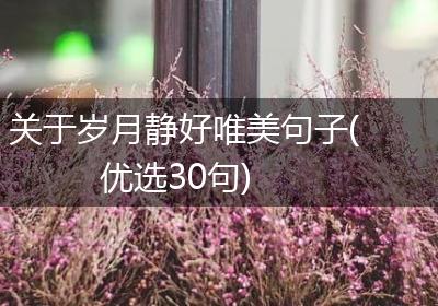 关于岁月静好唯美句子(优选30句)
