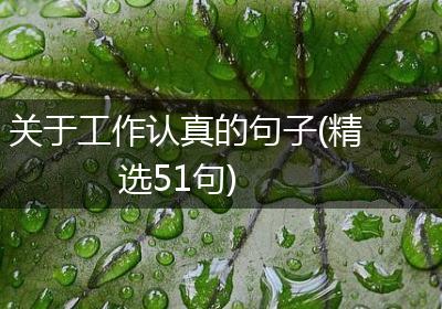 关于工作认真的句子(精选51句)