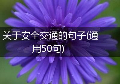 关于安全交通的句子(通用50句)