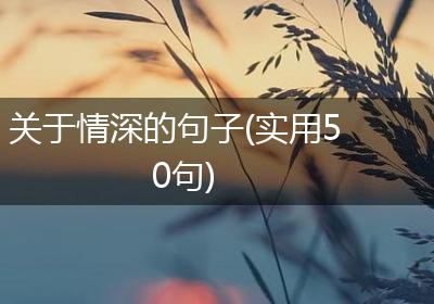 关于情深的句子(实用50句)
