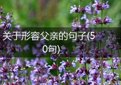 关于形容父亲的句子(50句)