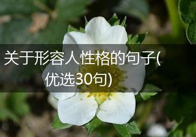 关于形容人性格的句子(优选30句)