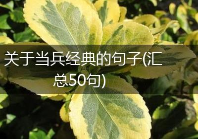 关于当兵经典的句子(汇总50句)