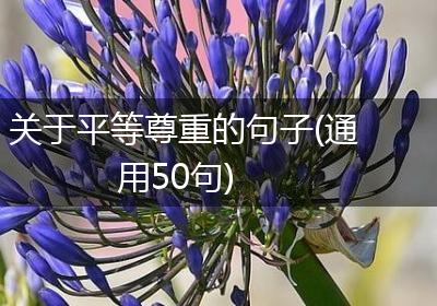 关于平等尊重的句子(通用50句)