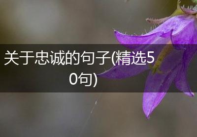 关于忠诚的句子(精选50句)