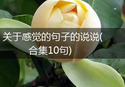 关于感觉的句子的说说(合集10句)
