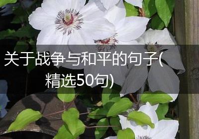 关于战争与和平的句子(精选50句)