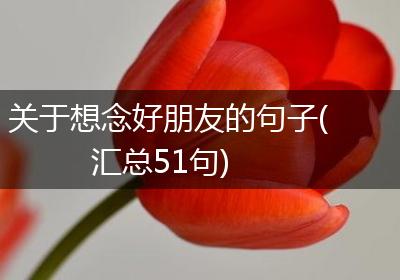 关于想念好朋友的句子(汇总51句)