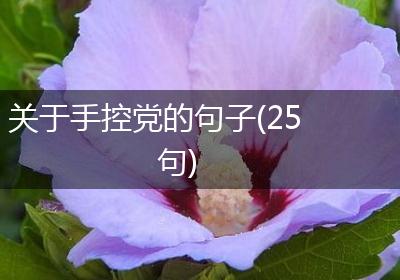 关于手控党的句子(25句)
