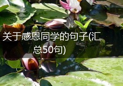 关于感恩同学的句子(汇总50句)