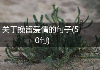 关于挽留爱情的句子(50句)