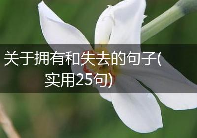 关于拥有和失去的句子(实用25句)