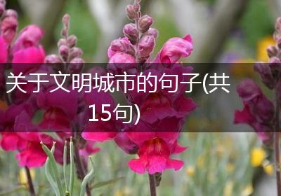 关于文明城市的句子(共15句)