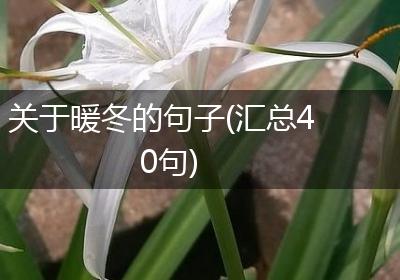 关于暖冬的句子(汇总40句)