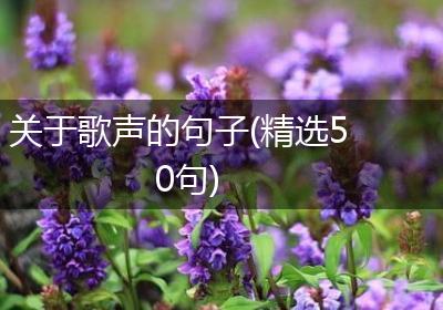 关于歌声的句子(精选50句)