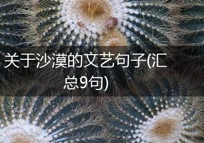 关于沙漠的文艺句子(汇总9句)