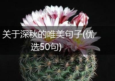 关于深秋的唯美句子(优选50句)