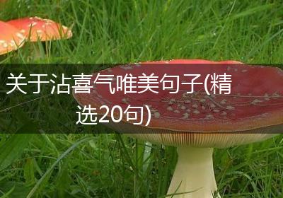 关于沾喜气唯美句子(精选20句)