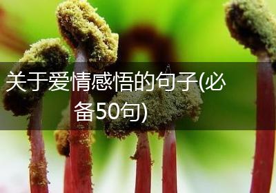 关于爱情感悟的句子(必备50句)