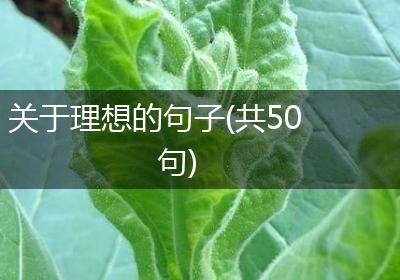 关于理想的句子(共50句)
