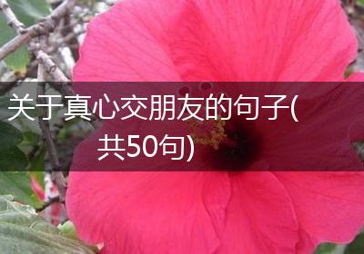 关于真心交朋友的句子(共50句)