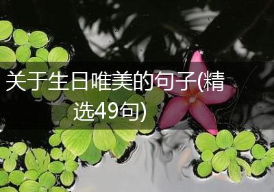 关于生日唯美的句子(精选49句)