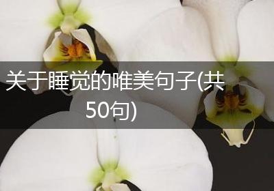 关于睡觉的唯美句子(共50句)