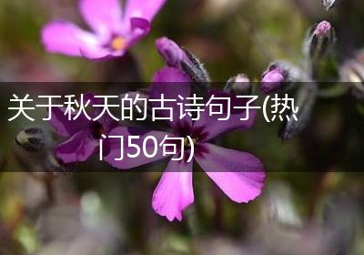 关于秋天的古诗句子(热门50句)