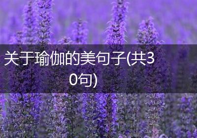 关于瑜伽的美句子(共30句)