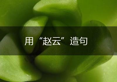 用“赵云”造句