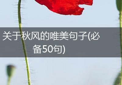 关于秋风的唯美句子(必备50句)